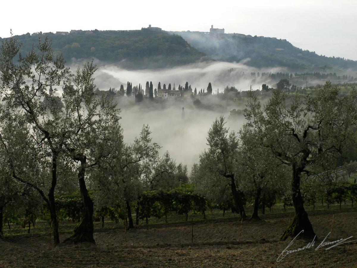 Holiday Home La Voce Del Silenzio By Interhome Volterra Exterior photo